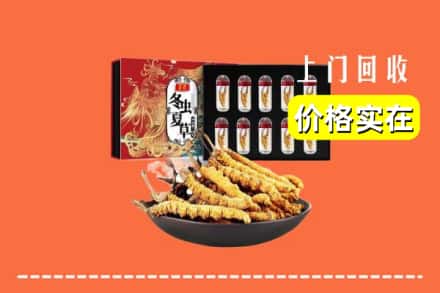 阿坝州九寨沟回收冬虫夏草